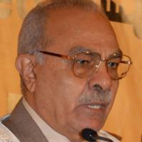 صورة المؤلف د. محمد عمارة