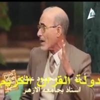 صورة المؤلف محمود محمد عمارة