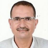 صورة المؤلف محمد عبد العزيز عرموش