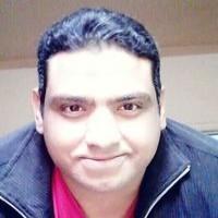 صورة المؤلف عارف فكري