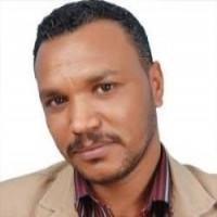 صورة المؤلف نور الدين الصادق