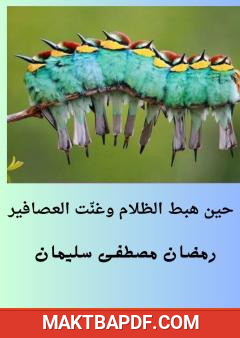 غلاف كتاب حين هبط الظلام وغنّت العصافير