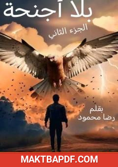 غلاف كتاب بلا أجنحة - الجزء الثاني