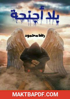 غلاف كتاب بلا أجنحة