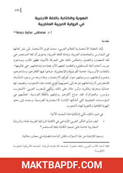 غلاف كتاب الهوية والكتابة باللغة الأجنبية في الرواية العربية المغاربية