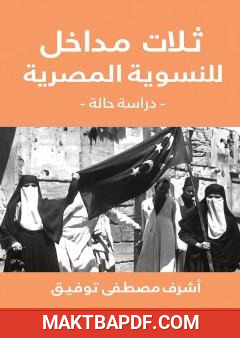 غلاف كتاب ثلات مداخل للنسوية المصرية - دراسة حالة